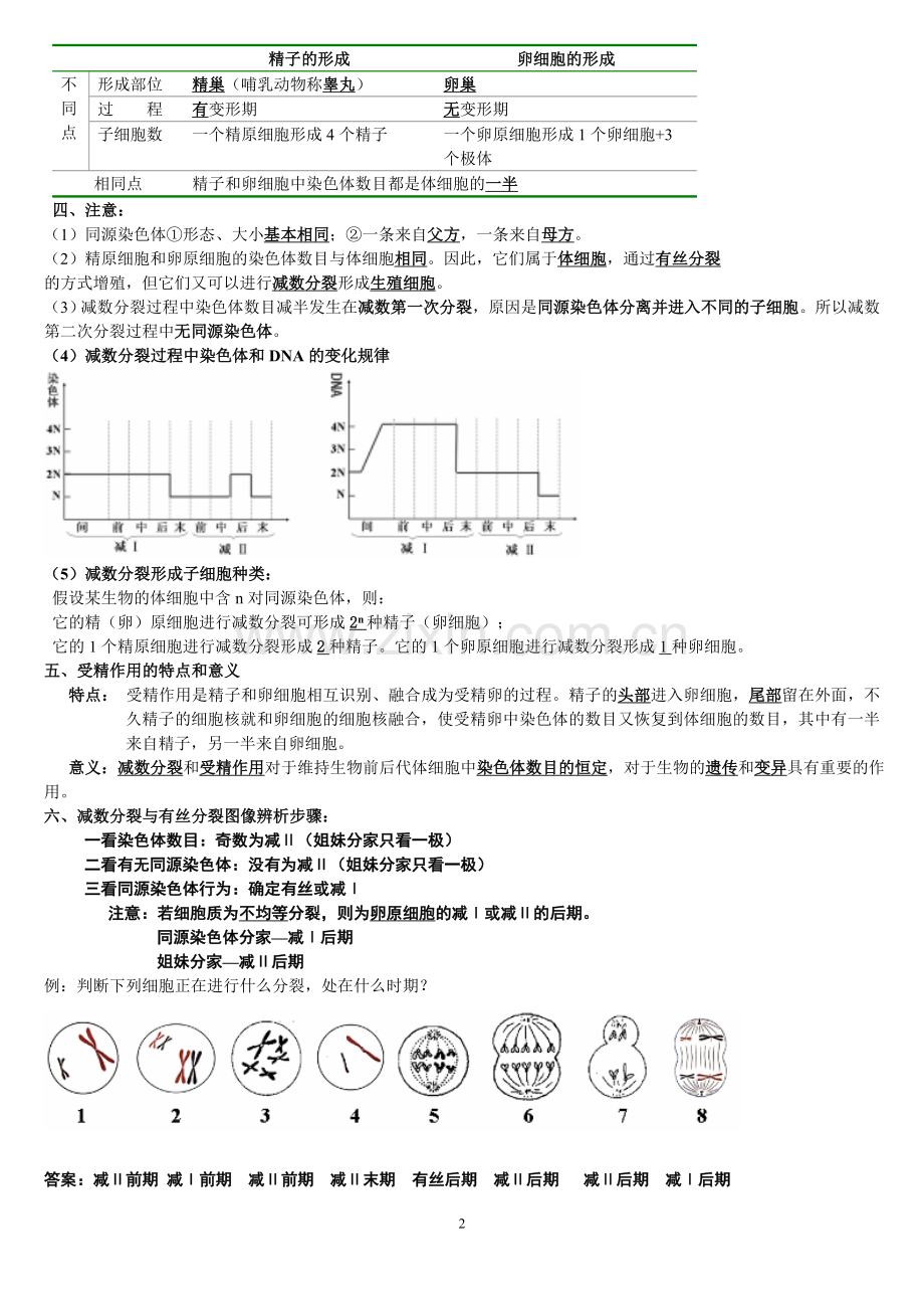 [free]生物必修2复习提纲(必修).doc_第2页