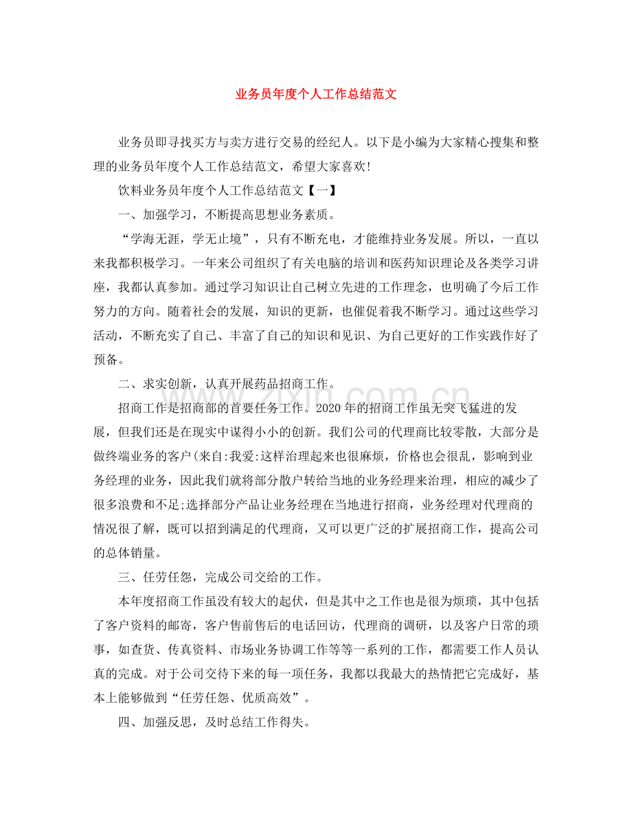 业务员年度个人工作总结范文2.docx_第1页