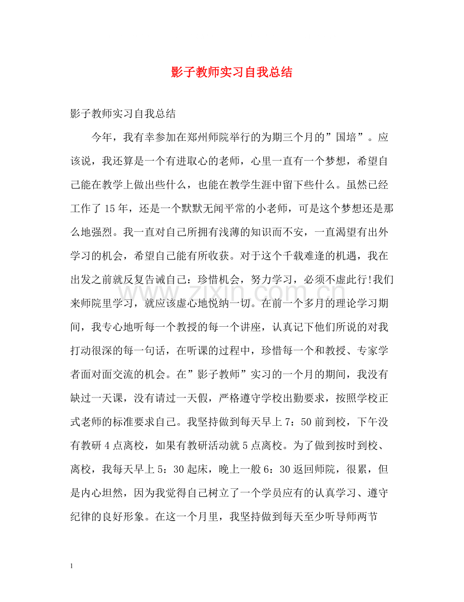 影子教师实习自我总结.docx_第1页