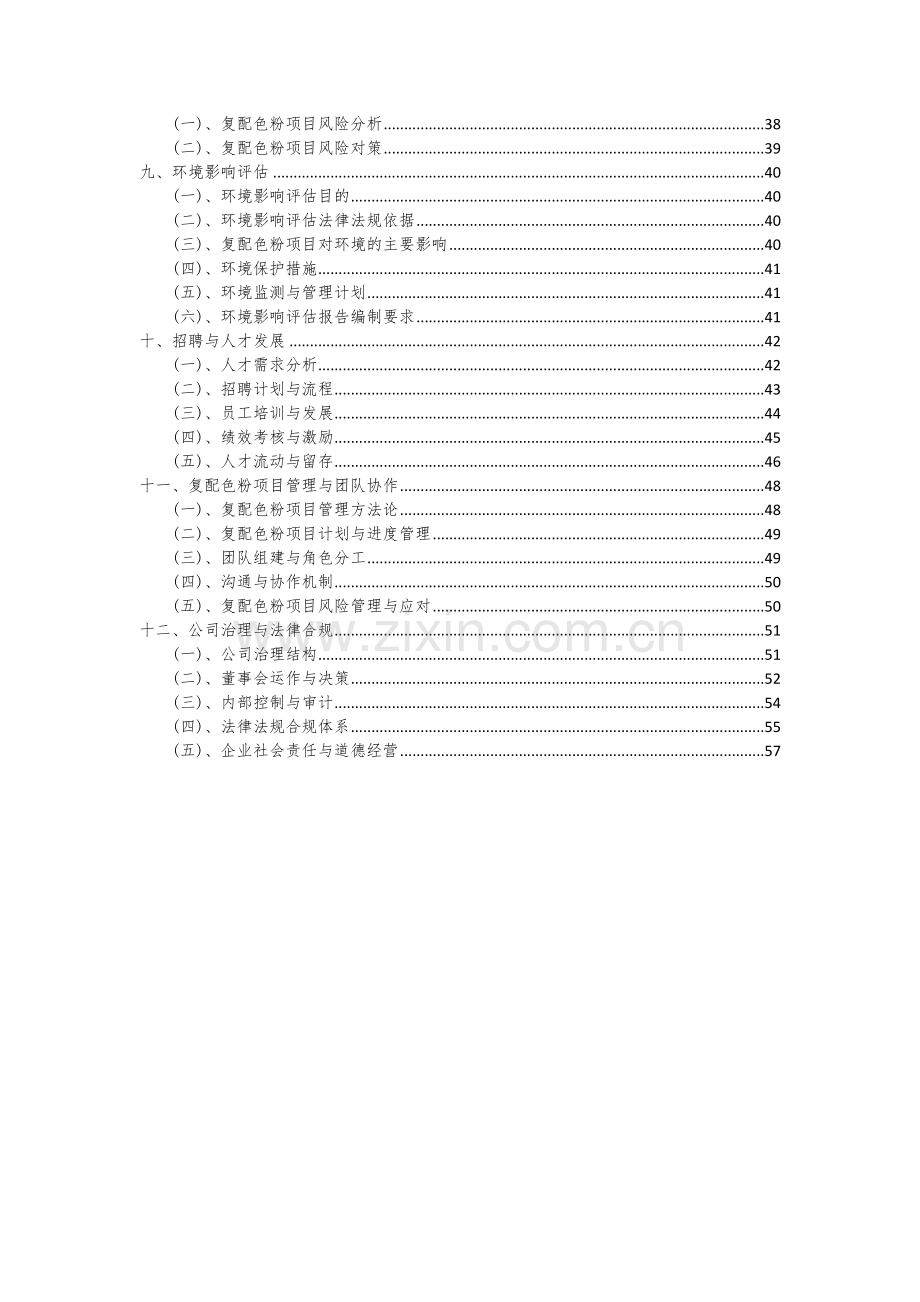 复配色粉项目可行性研究报告.docx_第3页