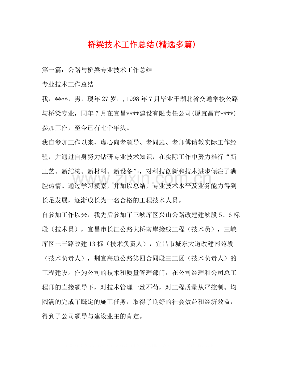 桥梁技术工作总结多篇).docx_第1页