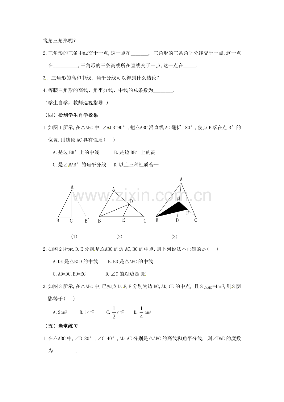 广东省汕头市龙湖实验中学七年级数学下册《7.1.2三角形的高、中线、角平分线》教案1 新人教版.doc_第2页