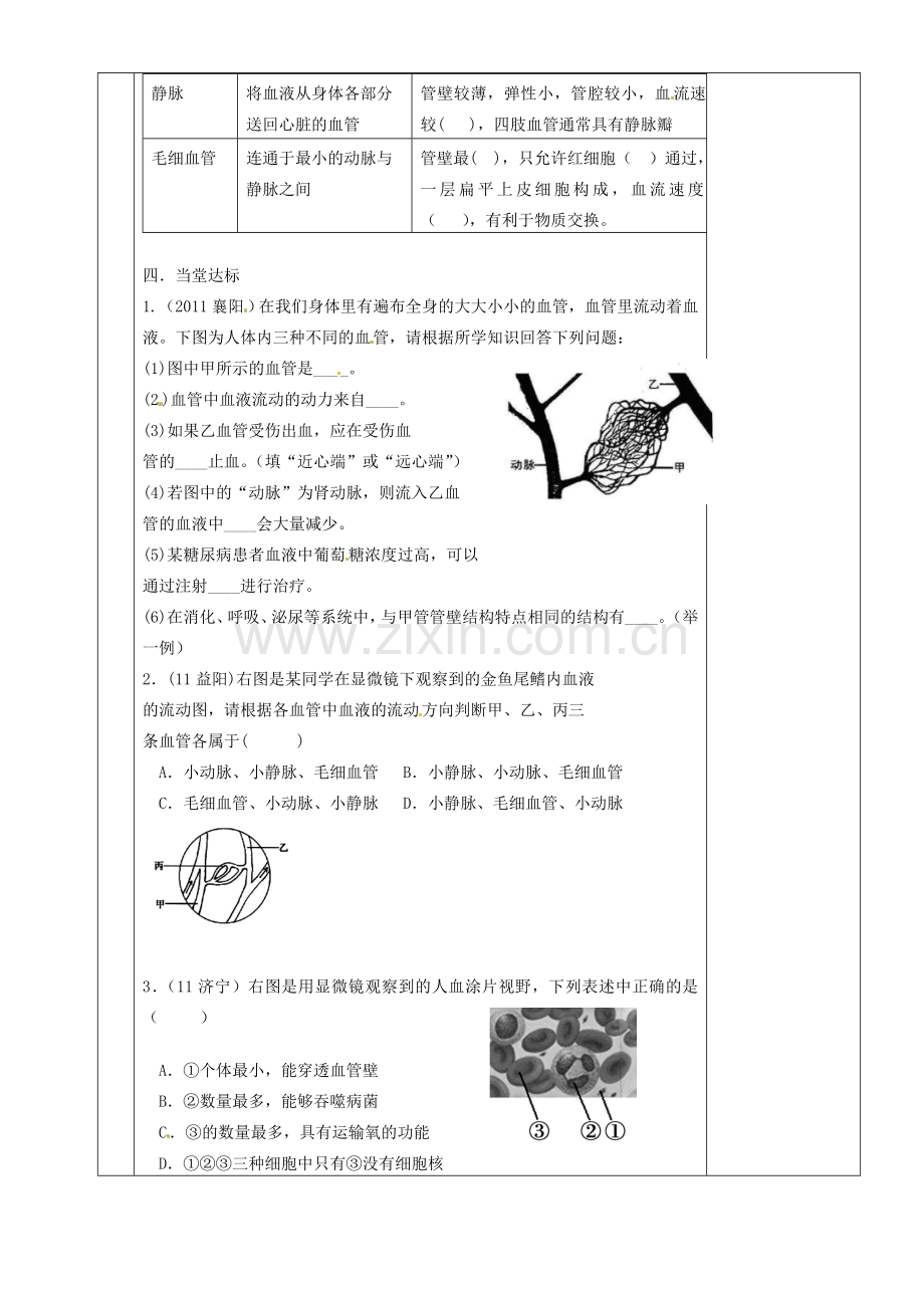 湖南省茶陵县世纪星实验学校八年级生物复习《第12讲 血液和血管》教案 人教新课标版.doc_第2页