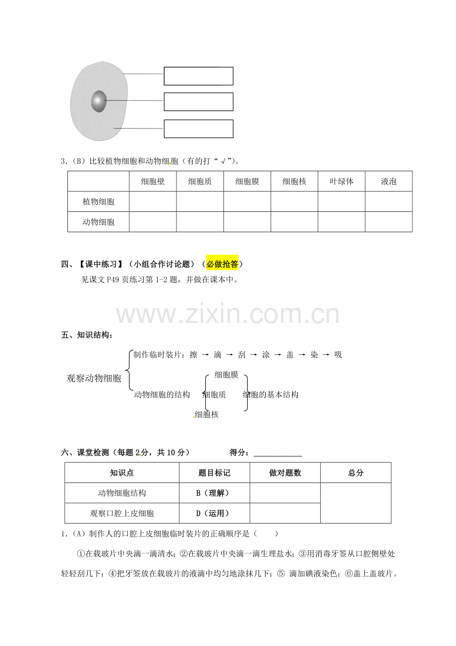 七年级生物上册 2.1.3 动物细胞导学案（无答案）（新版）新人教版.doc_第2页