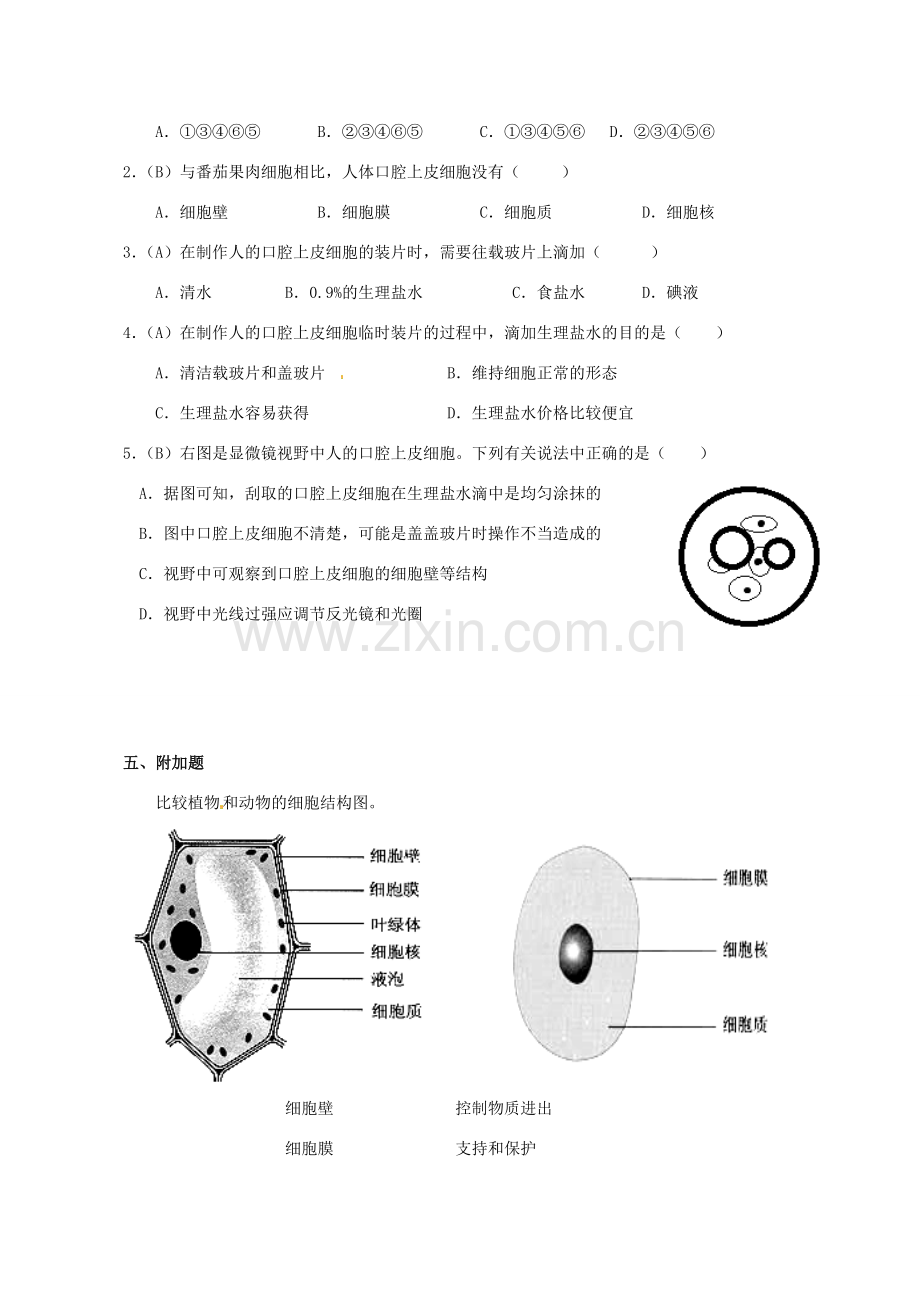 七年级生物上册 2.1.3 动物细胞导学案（无答案）（新版）新人教版.doc_第3页