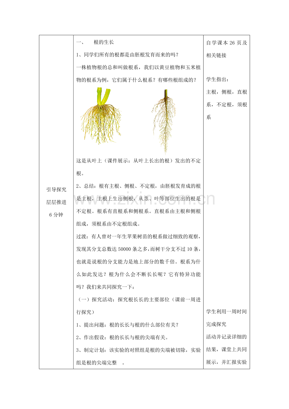 八年级生物上册 4.1.5《根的结构与功能》教案 （新版）济南版-（新版）济南版初中八年级上册生物教案.doc_第2页