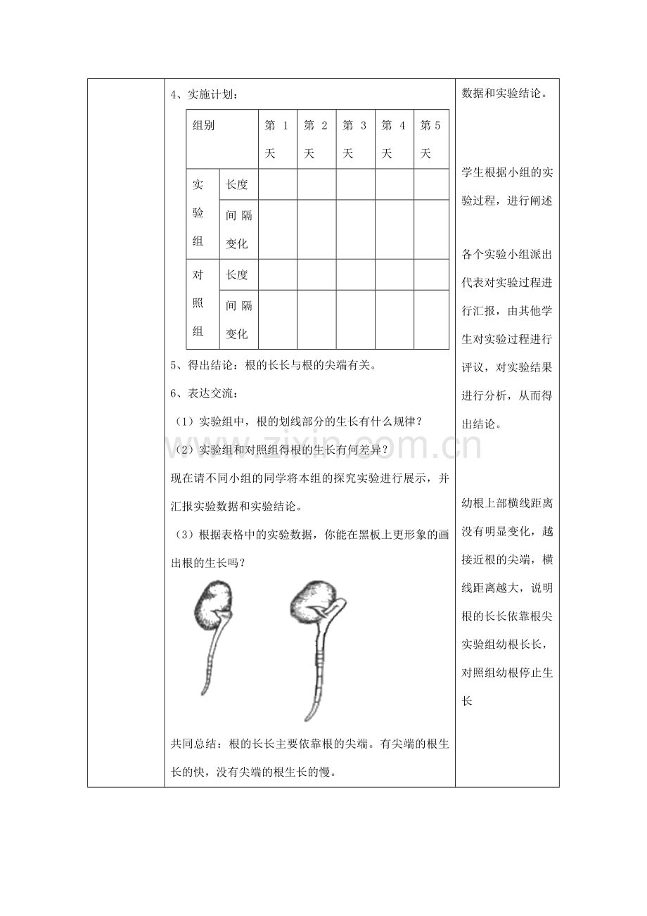 八年级生物上册 4.1.5《根的结构与功能》教案 （新版）济南版-（新版）济南版初中八年级上册生物教案.doc_第3页