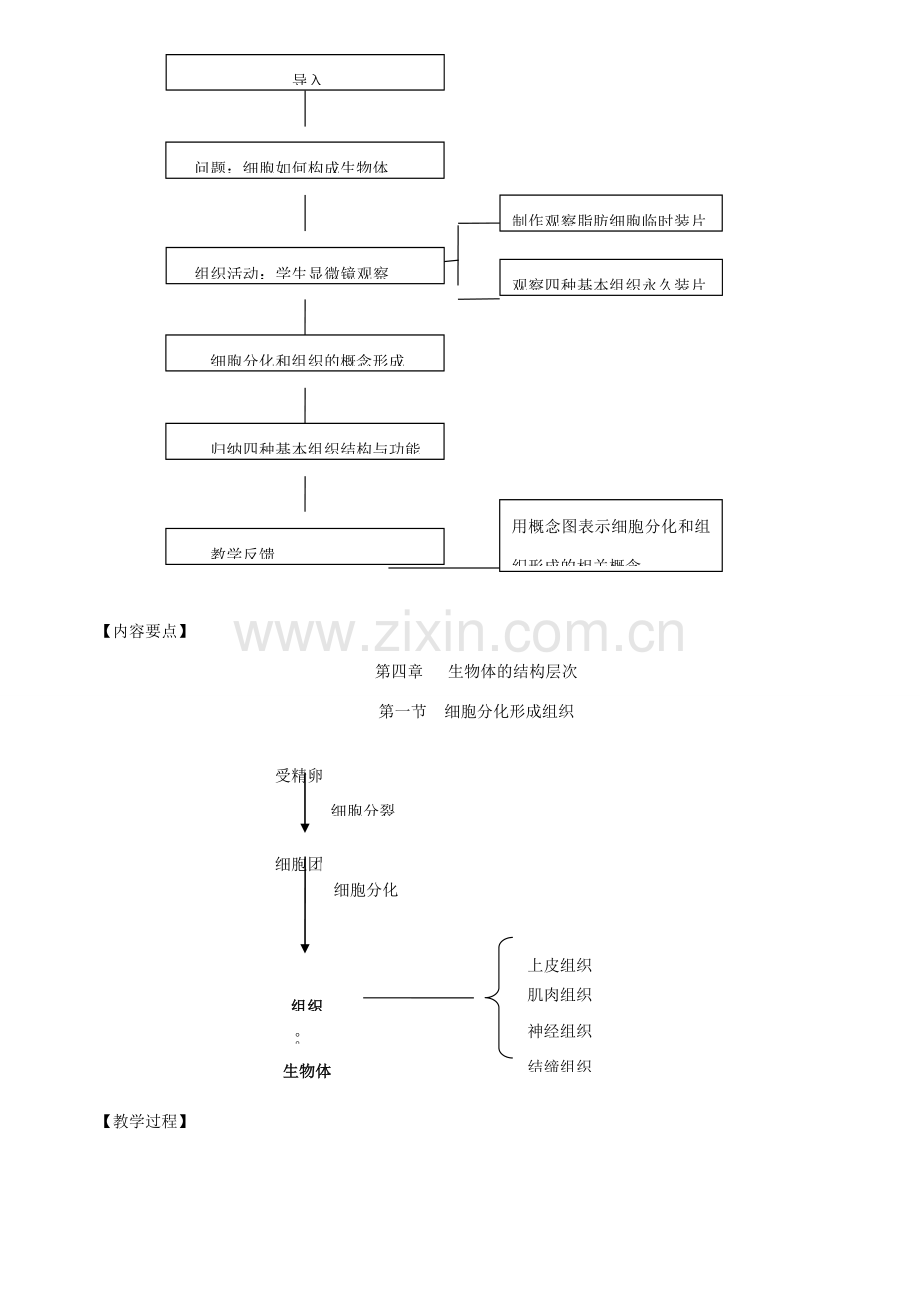 福建省浦城县七年级生物上册 4.1细胞分化形成组织教案 （新版）北师大版-（新版）北师大版初中七年级上册生物教案.doc_第2页