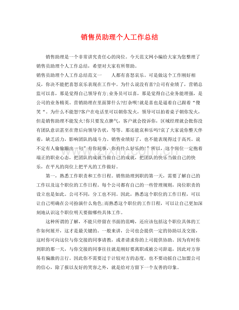 销售员助理个人工作总结 .docx_第1页