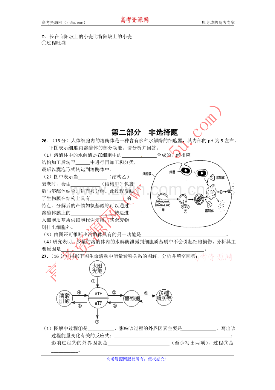 广东潮阳一中明光学校2011-2012学年度高三入学考试(理综生物).doc_第2页