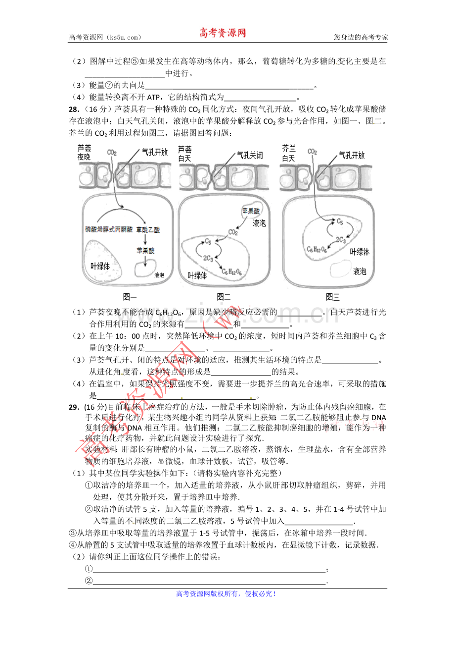 广东潮阳一中明光学校2011-2012学年度高三入学考试(理综生物).doc_第3页