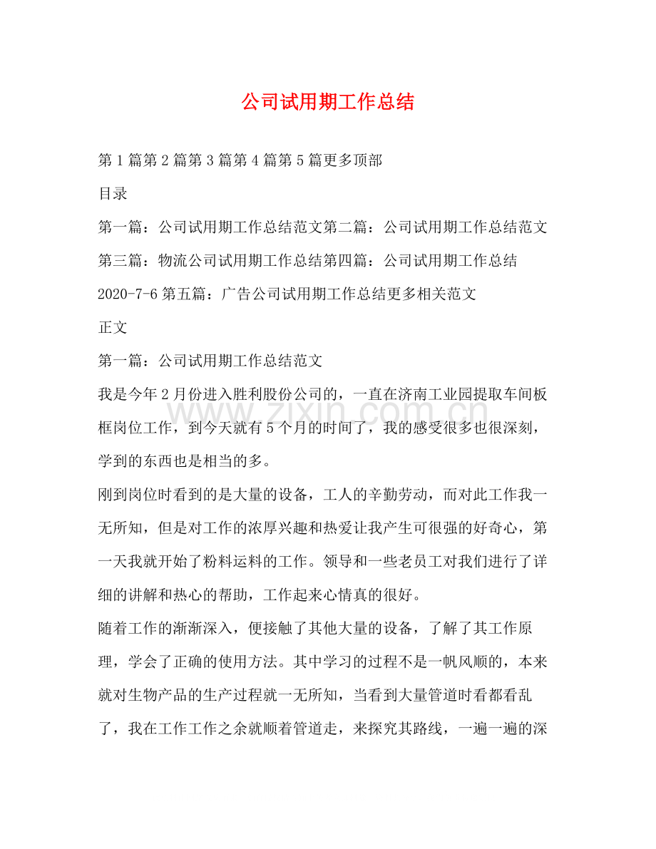 公司试用期工作总结.docx_第1页