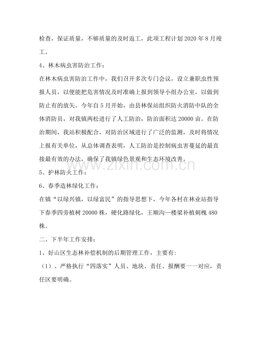 镇林业站年上半年工作总结及下半年工作安排.docx_第2页