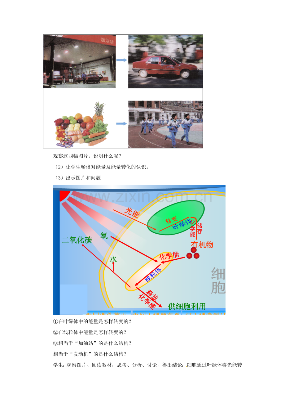 安徽省合肥市长丰县七年级生物上册 2.1.4《细胞的生活》教案4 （新版）新人教版-（新版）新人教版初中七年级上册生物教案.doc_第3页