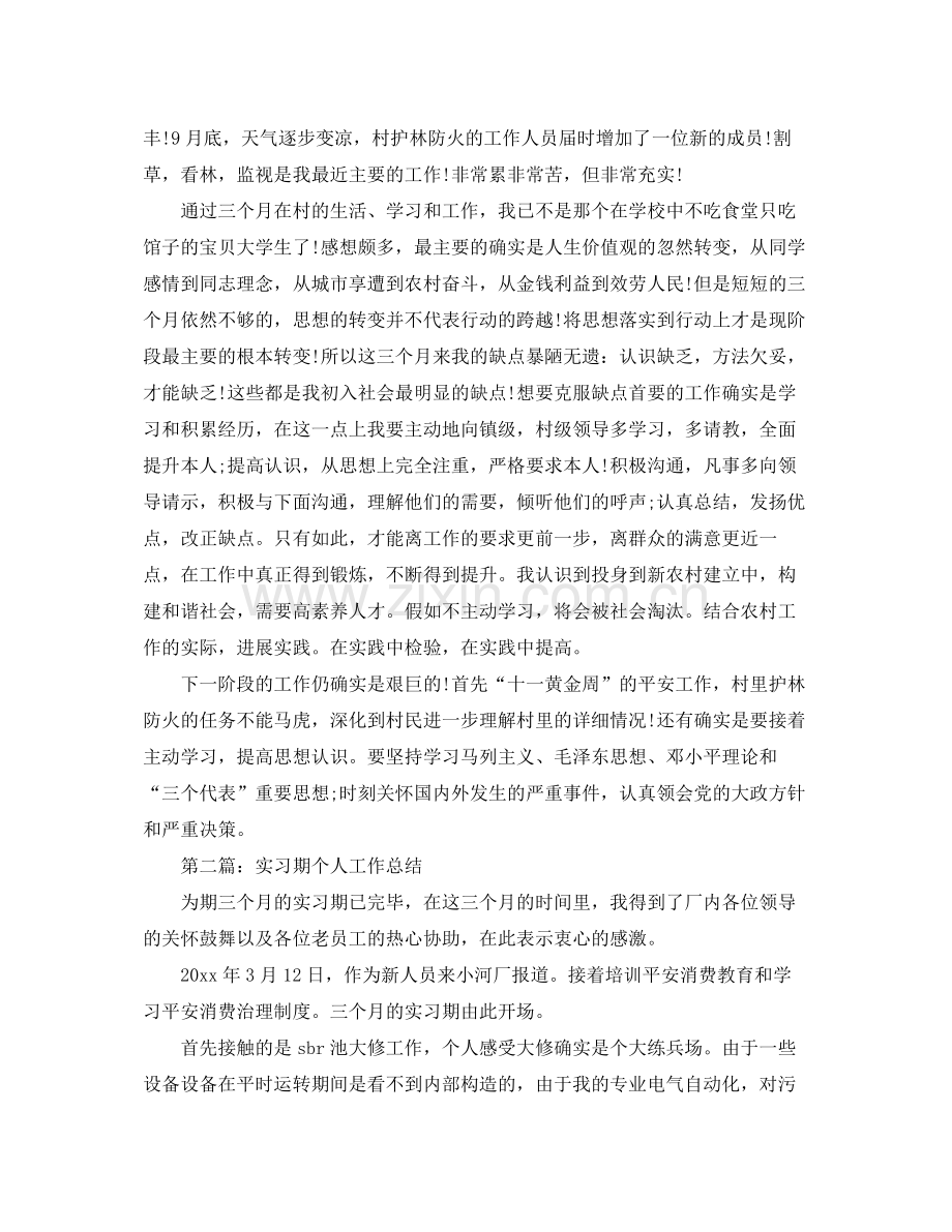 实习期个人工作参考总结.docx_第2页