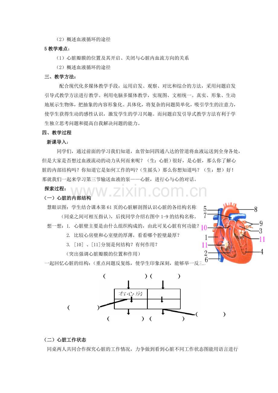 春七年级生物下册 第四单元 第四章 第三节 输送血液的泵——心脏教案（2）（新版）新人教版-（新版）新人教版初中七年级下册生物教案.doc_第2页