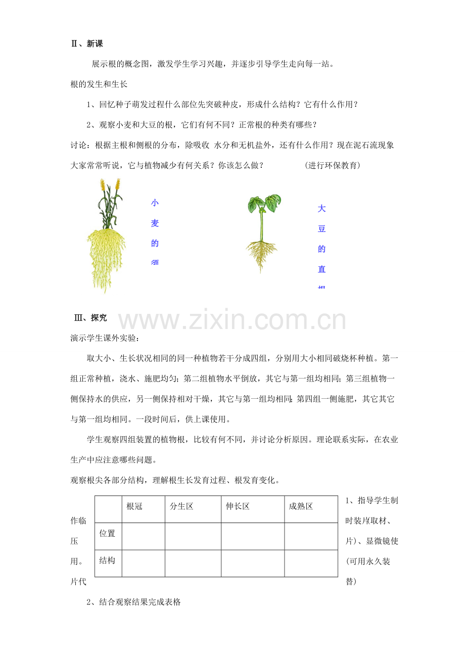 七年级生物上册 第6章 第2节 营养器官的生长教案1 北师大版.doc_第2页