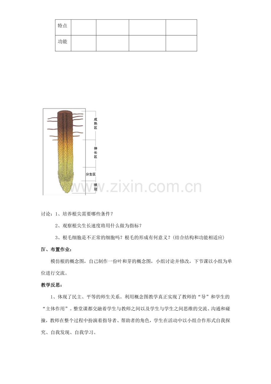 七年级生物上册 第6章 第2节 营养器官的生长教案1 北师大版.doc_第3页