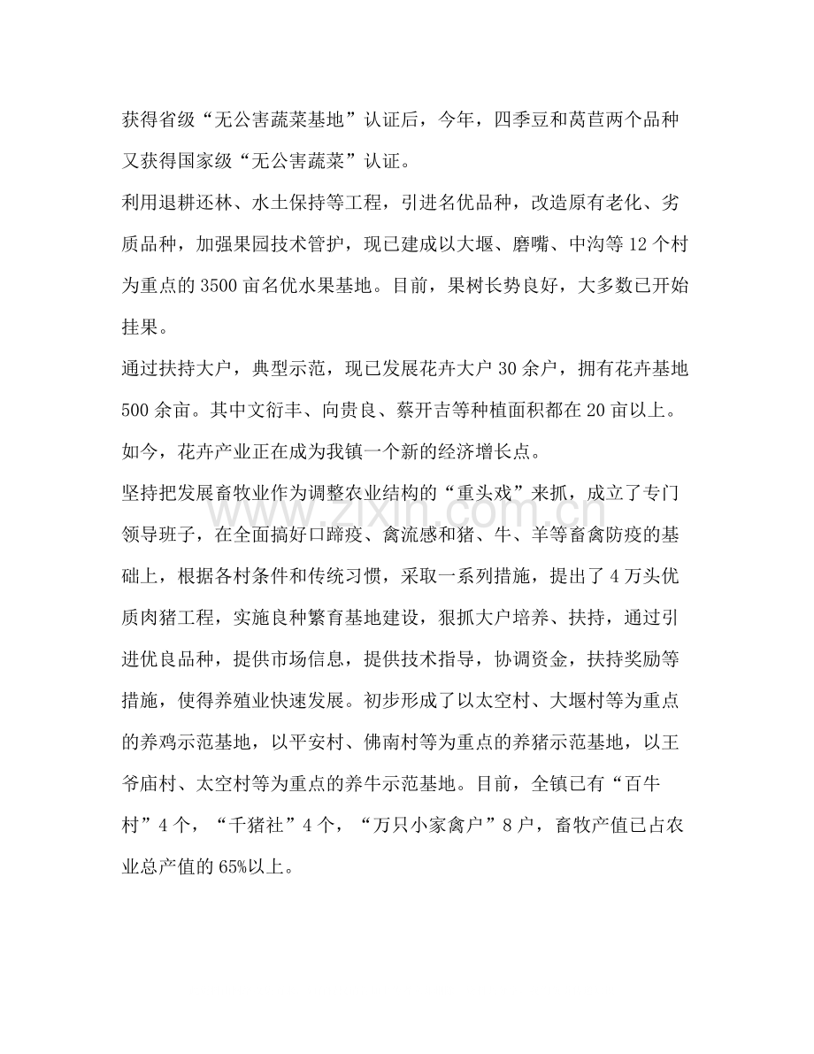 镇政府二OO四年度工作总结.docx_第2页