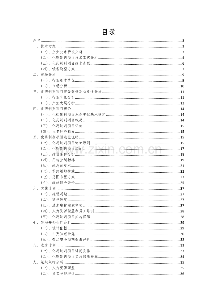 化药制剂项目可行性分析报告.docx_第2页