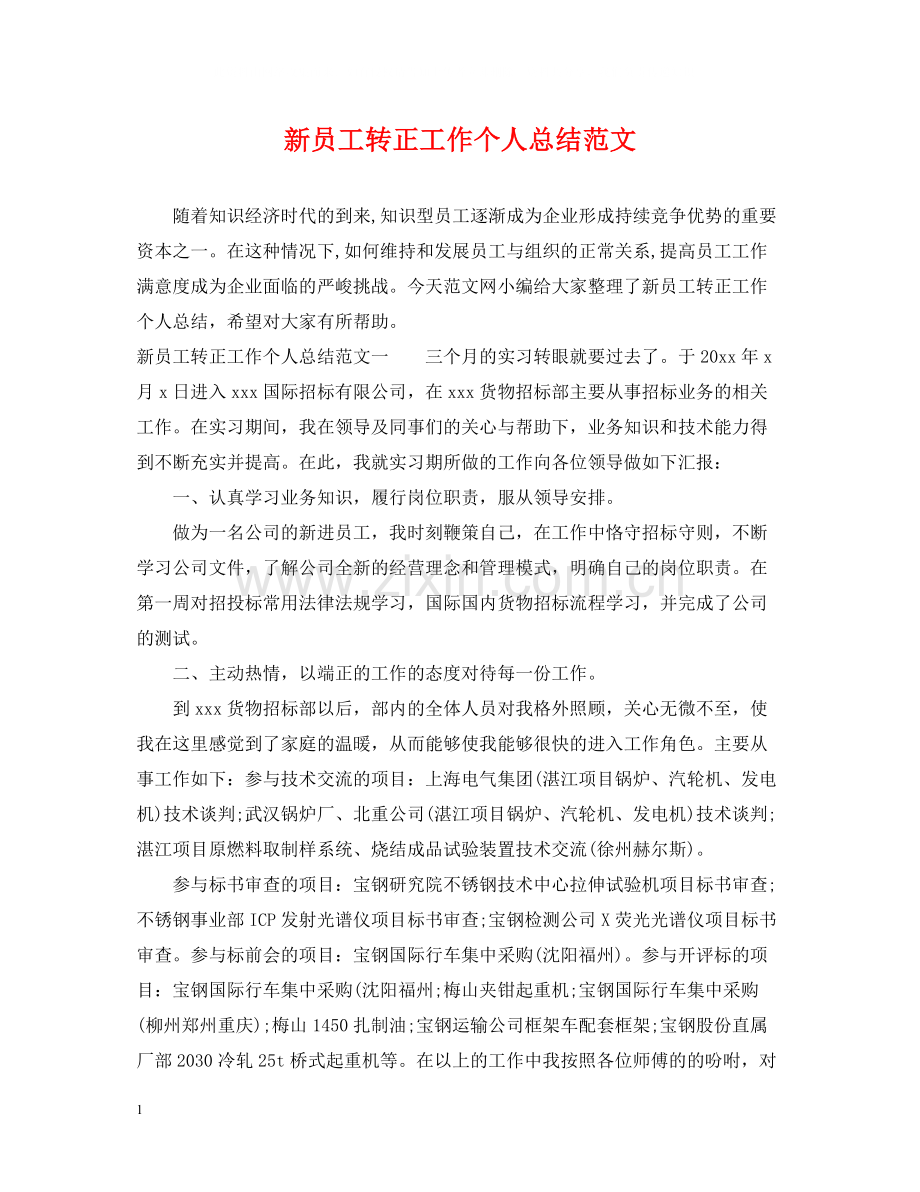 新员工转正工作个人总结范文.docx_第1页