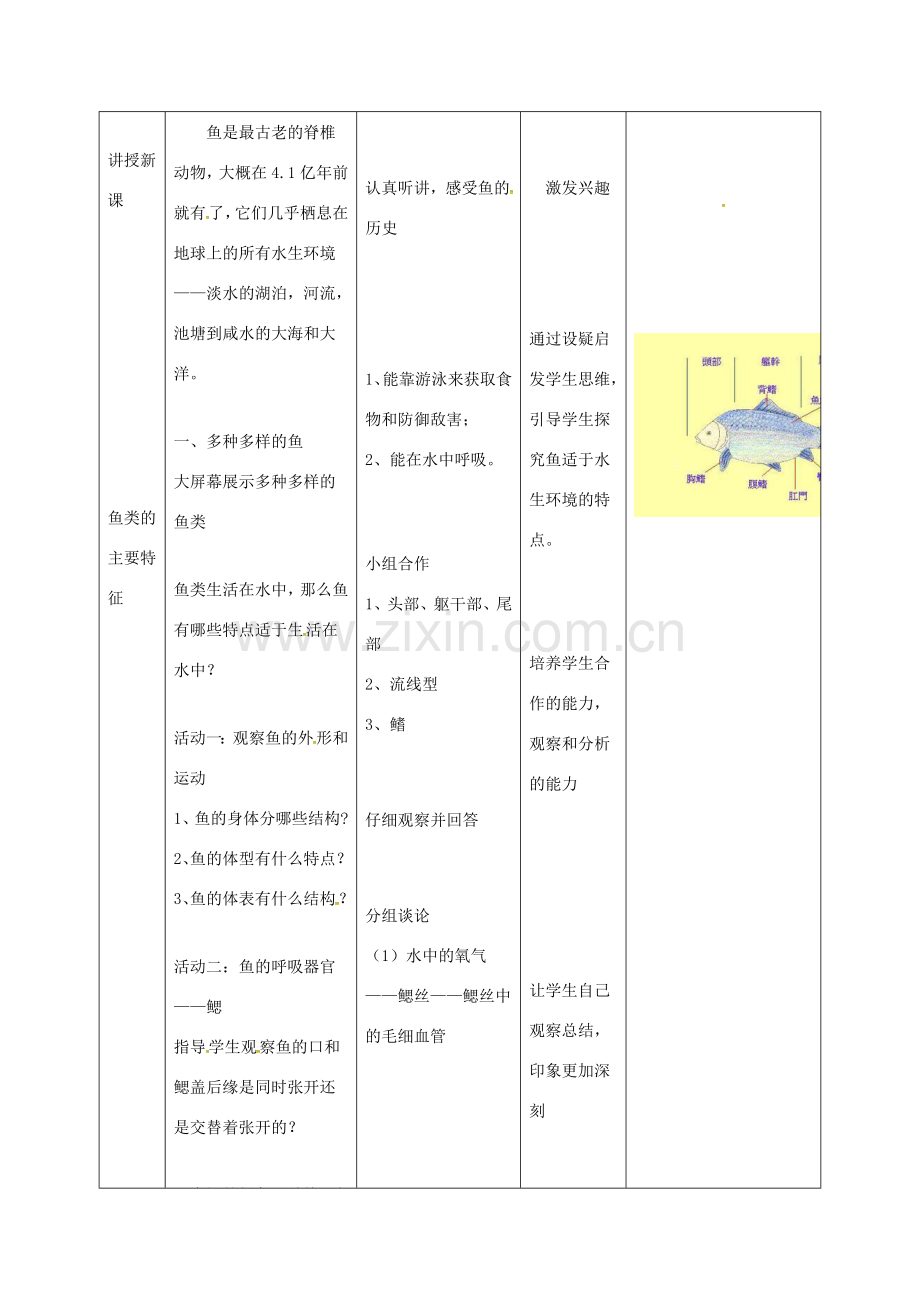 吉林省双辽市八年级生物上册 第五单元 第一章 第四节 鱼教案 （新版）新人教版-（新版）新人教版初中八年级上册生物教案.doc_第2页