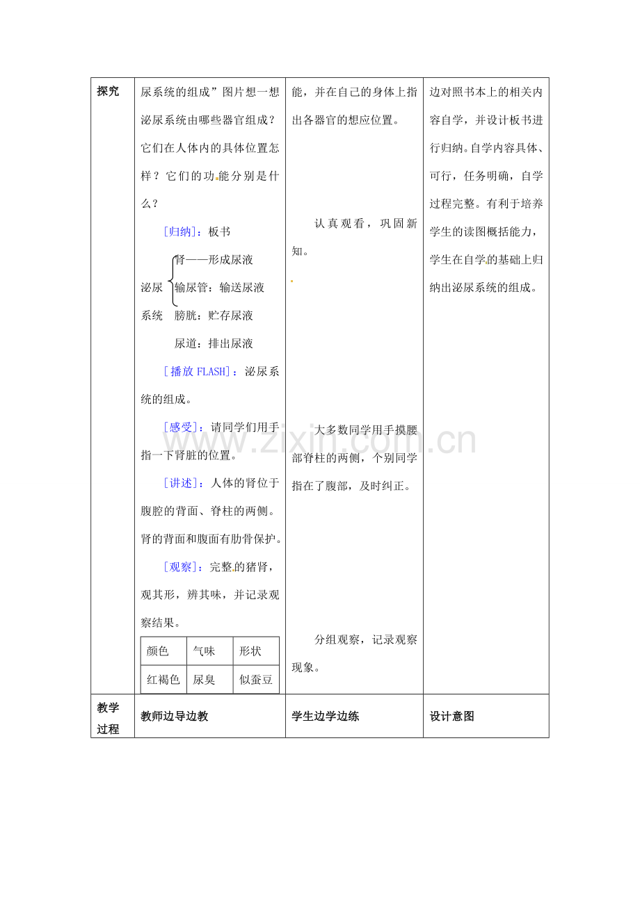 七年级生物下册 11.1 人体泌尿系统的组成教案 苏教版.doc_第3页