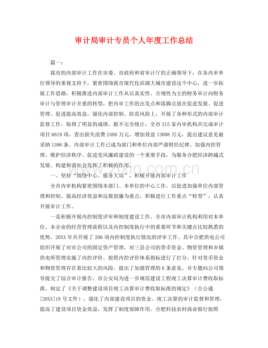 审计局审计专员个人年度工作总结 .docx_第1页