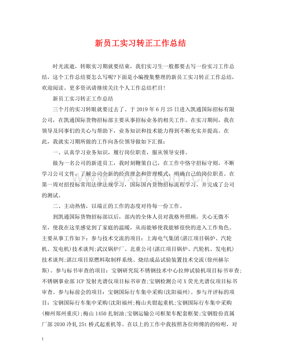 新员工实习转正工作总结.docx_第1页