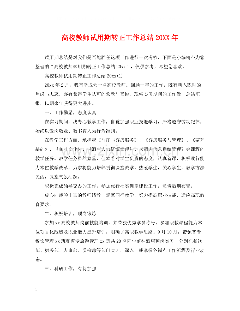 高校教师试用期转正工作总结2.docx_第1页