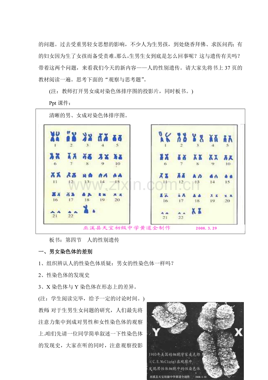 八年级生物下第二章第四节人的性别遗传教学设计.doc_第3页