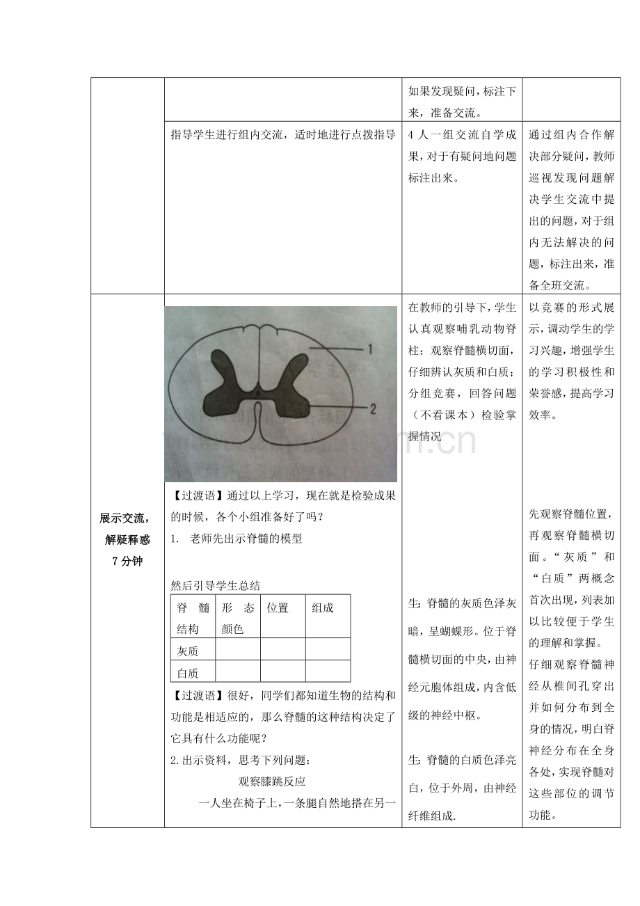 七年级生物下册 3.5.2 神经调节的结构基础教案3 济南版.doc_第2页