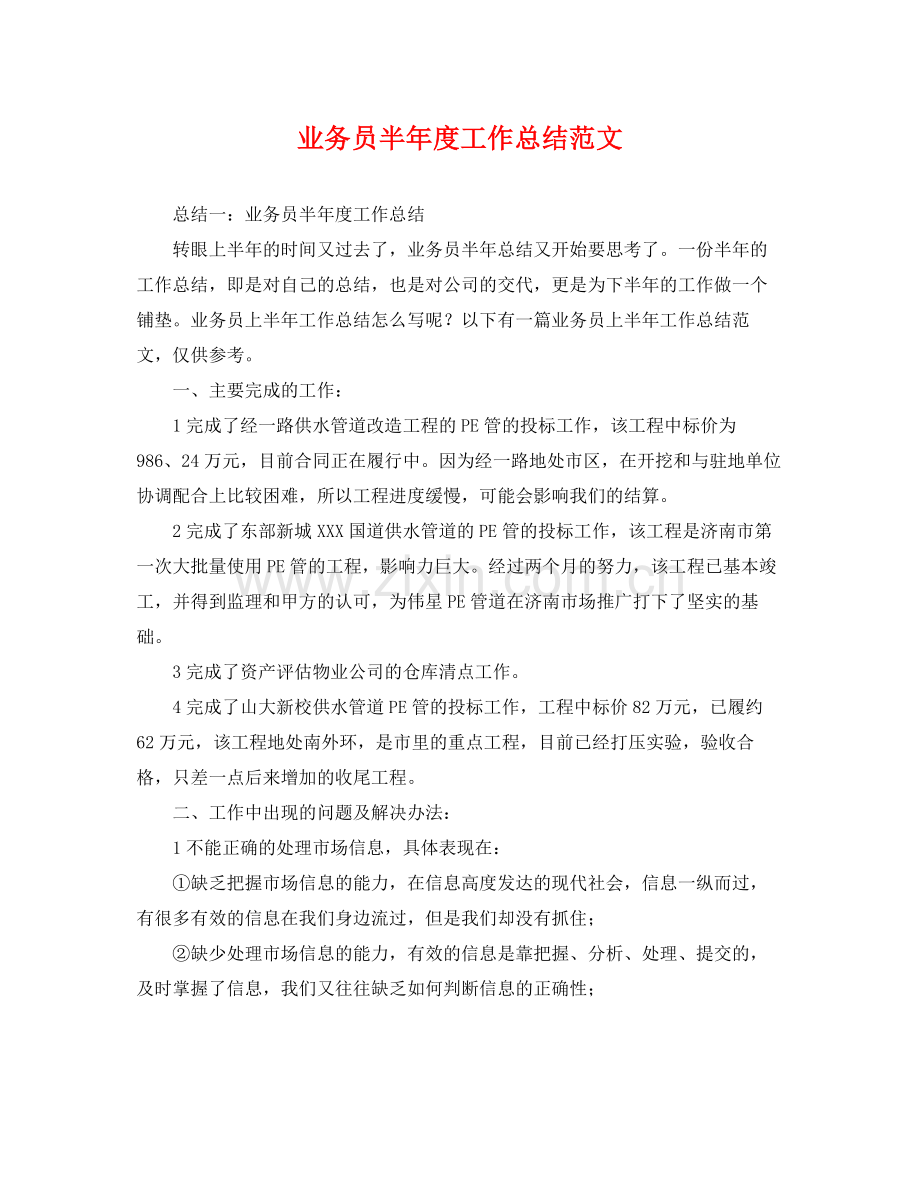 业务员半年度工作总结范文 .docx_第1页