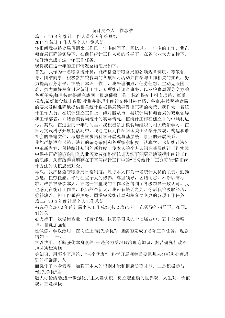 统计局个人工作总结.docx_第1页