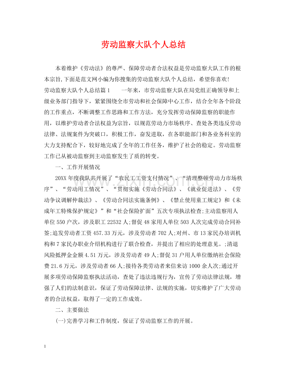 劳动监察大队个人总结.docx_第1页