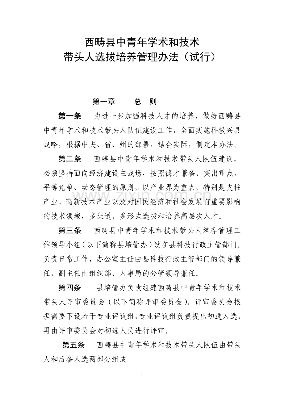 西畴县中青年学术及技术带头人选拔培养管理办法(试行).doc_第1页