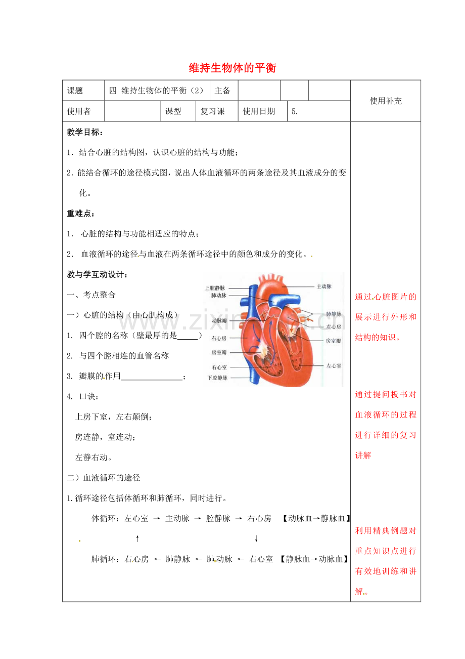 中考生物 10 维持生物体的平衡复习教案（2）-人教版初中九年级全册生物教案.doc_第1页