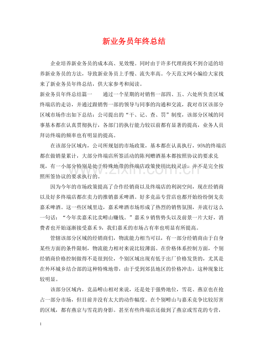 新业务员年终总结.docx_第1页