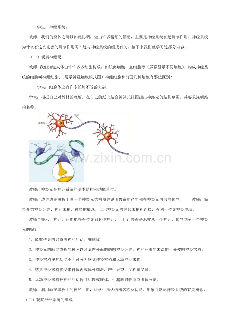 八年级生物上册 6.16.1人体的神经调节（第1课时）教案 （新版）苏科版-（新版）苏科版初中八年级上册生物教案.doc_第2页