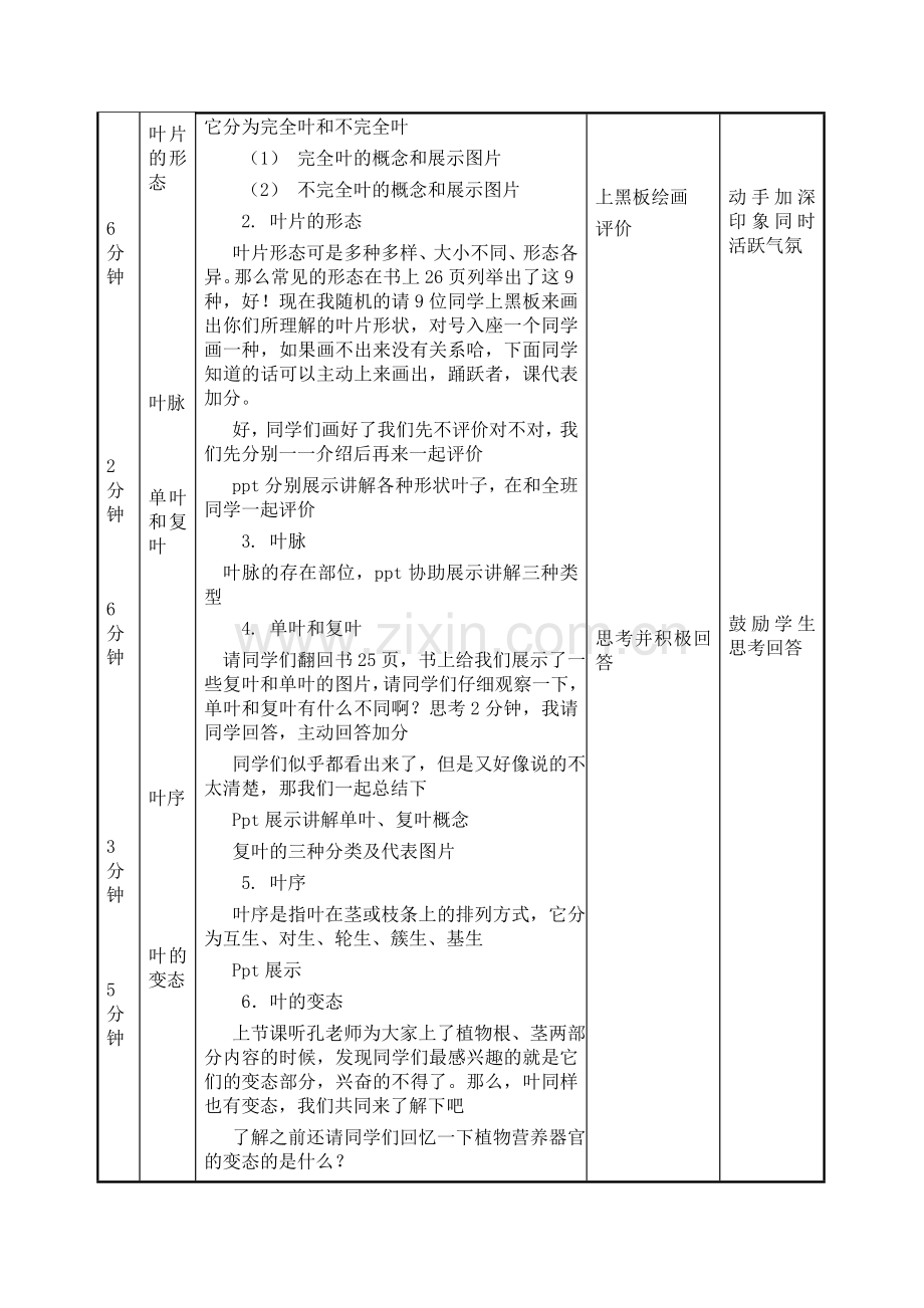 叶的形态结构.doc_第3页