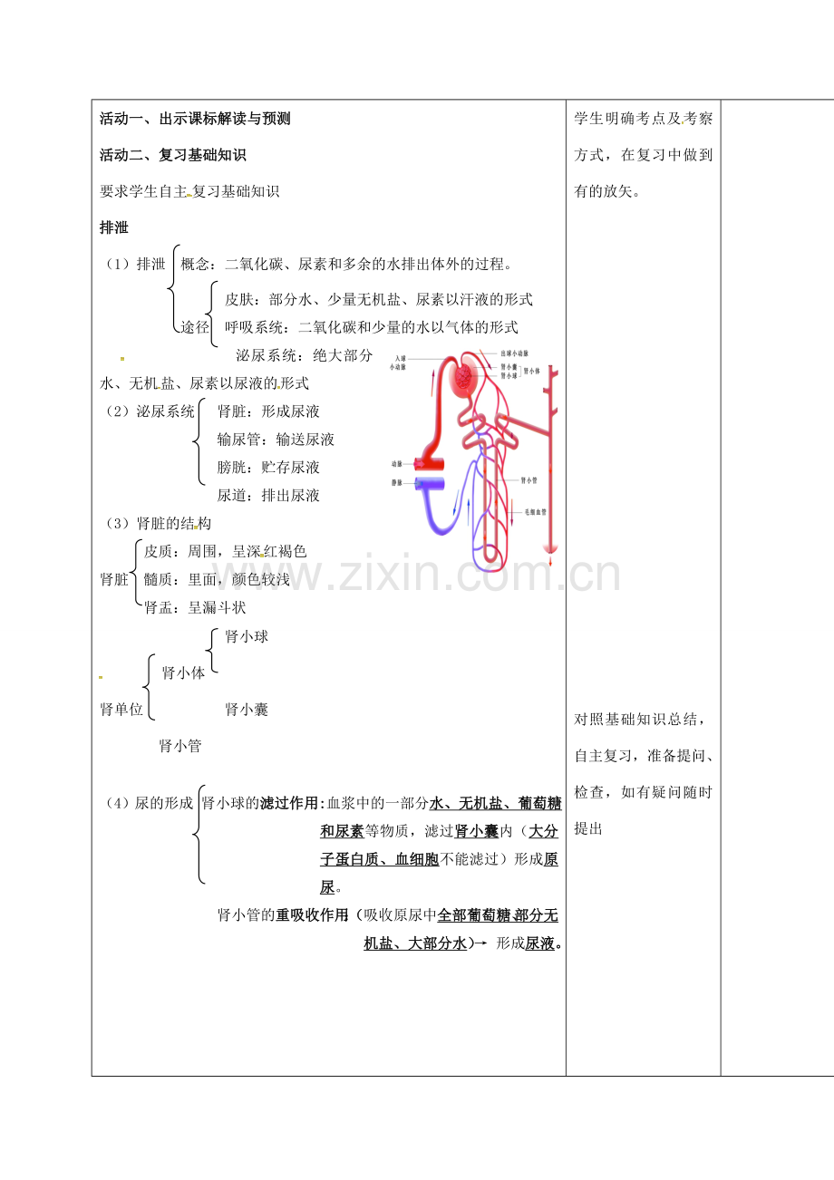 七年级生物下册 第三单元 第四章 人体内代谢废物的排出复习教案（1）（新版）济南版-（新版）济南版初中七年级下册生物教案.doc_第2页