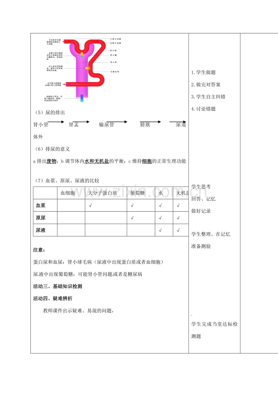 七年级生物下册 第三单元 第四章 人体内代谢废物的排出复习教案（1）（新版）济南版-（新版）济南版初中七年级下册生物教案.doc_第3页