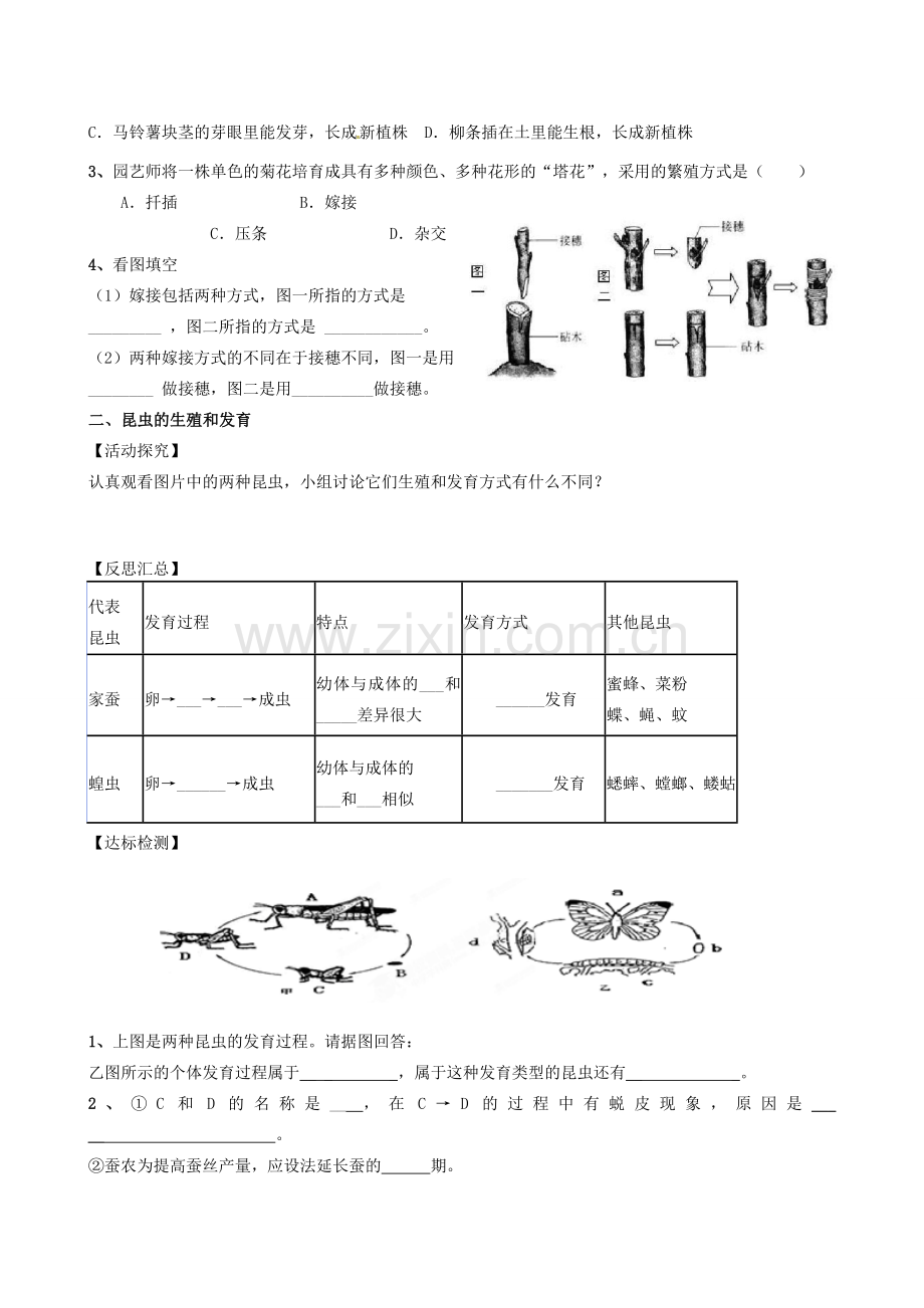 八年级生物下册 7.1 生物的生殖和发育复习教案 新人教版-新人教版初中八年级下册生物教案.doc_第2页