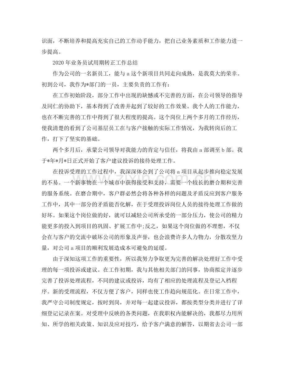 2020年业务员试用期转正工作总结.docx_第2页