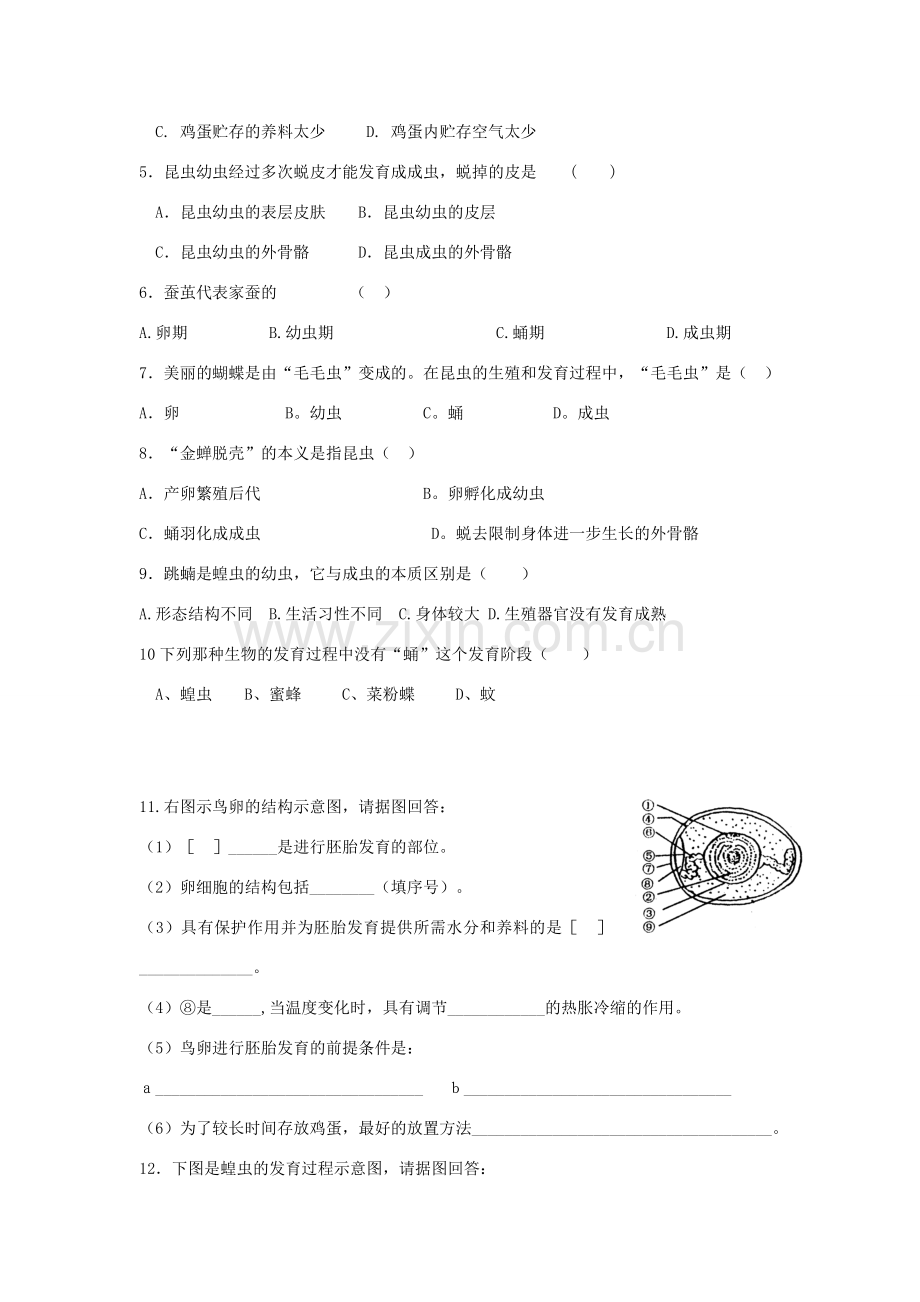 八年级生物上册 19. 动物的生殖和发育 章复习教案 苏科版.doc_第2页