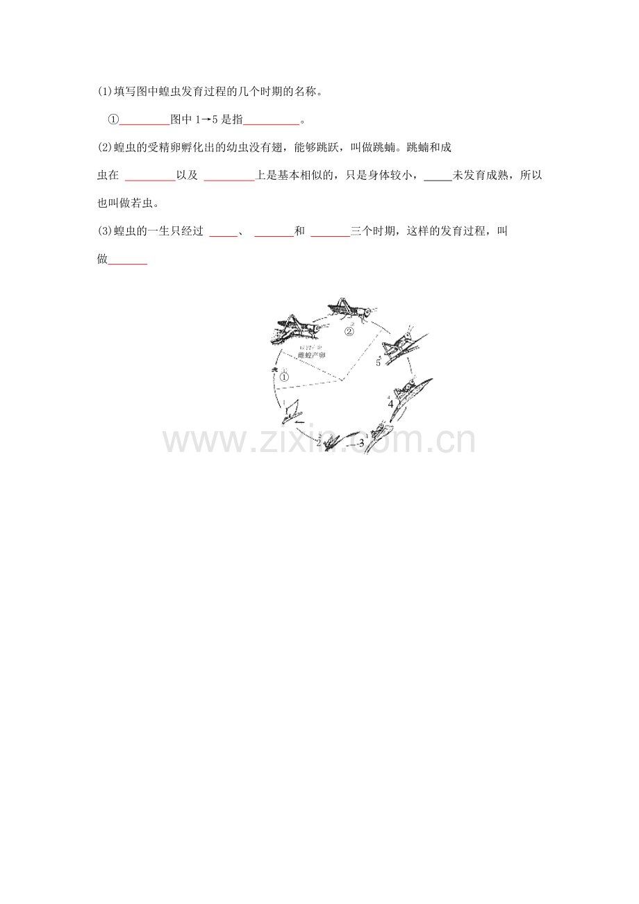 八年级生物上册 19. 动物的生殖和发育 章复习教案 苏科版.doc_第3页