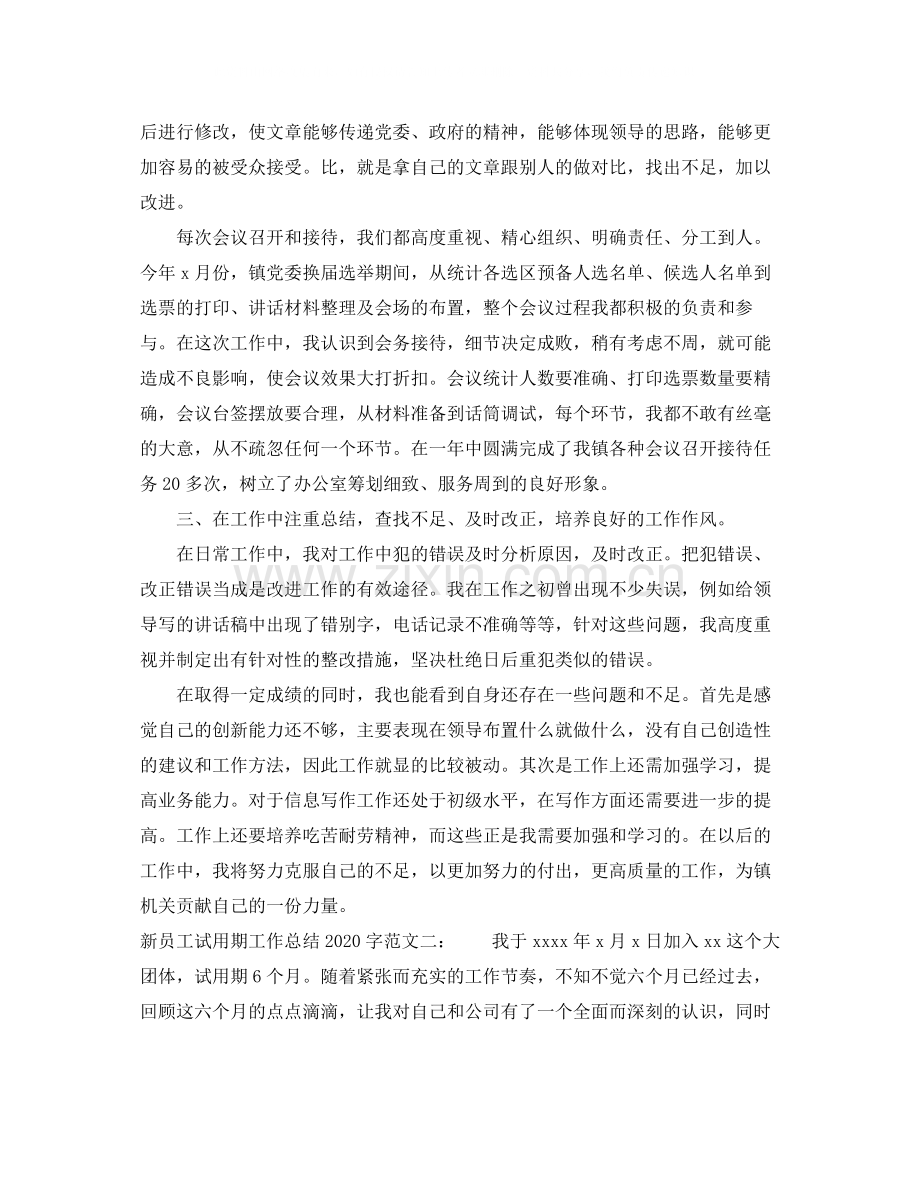 新员工试用期工作总结字.docx_第2页