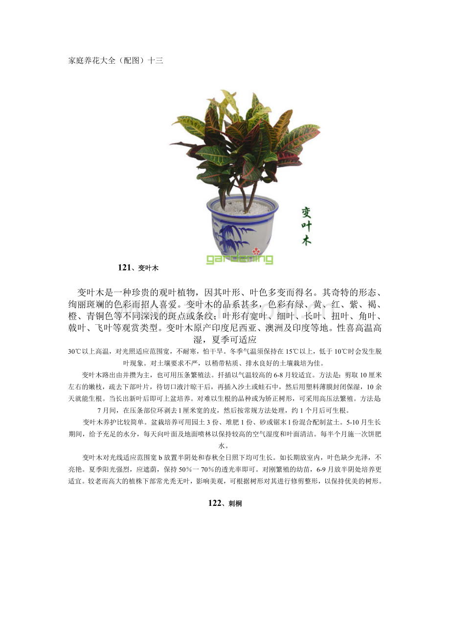 家庭养花大全(配图)十三.doc_第1页