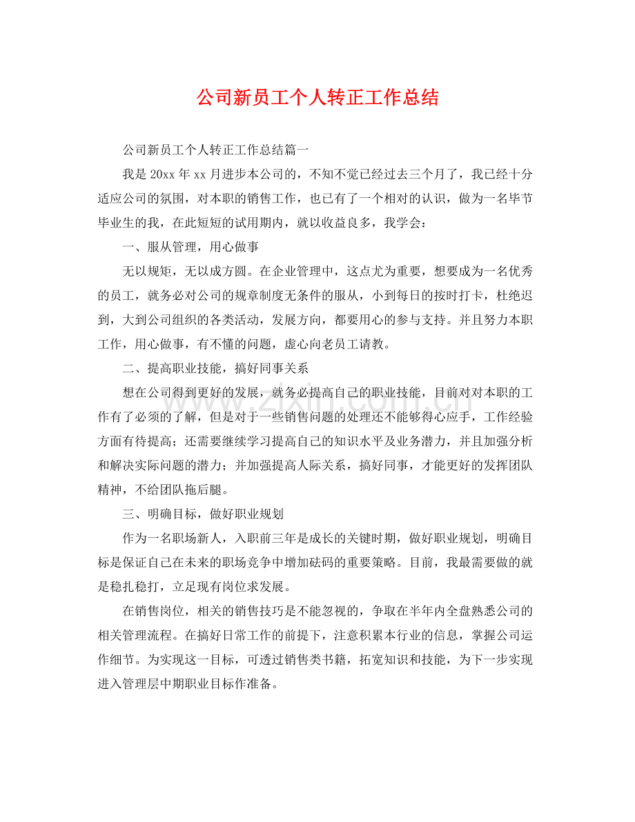 公司新员工个人转正工作总结 .docx_第1页