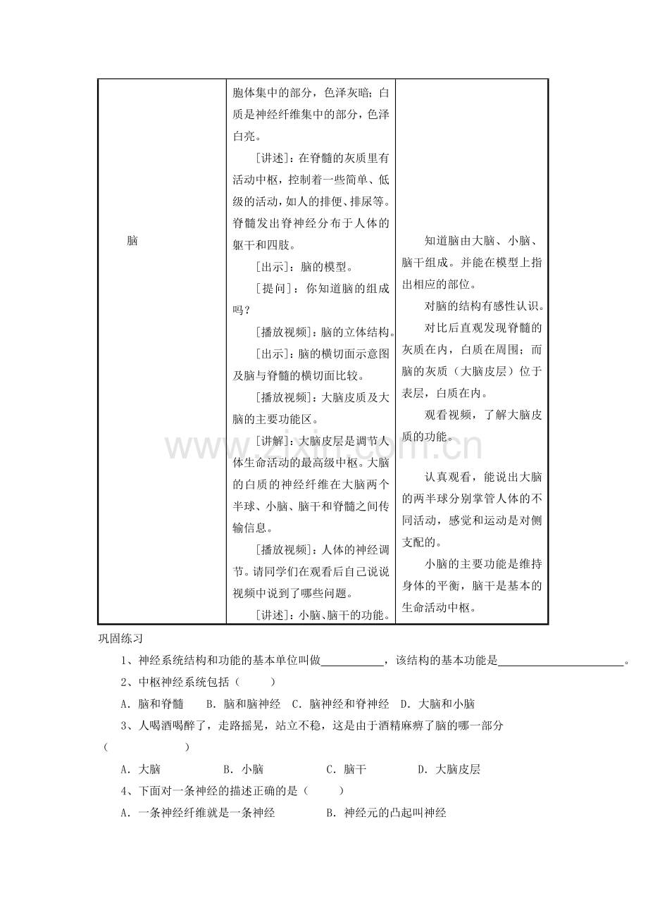 七年级生物下册 12.2人体的神经调节（第1课时）教案 （新版）苏教版-（新版）苏教版初中七年级下册生物教案.doc_第3页